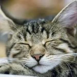 Meet your Posher, Marie h